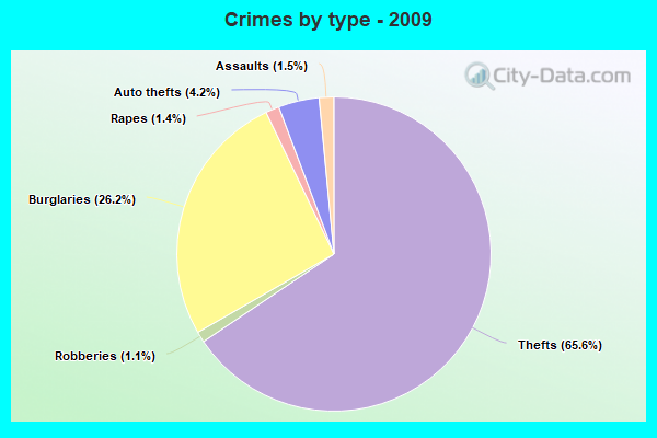 Crimes by type - 2009