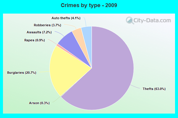 Crimes by type - 2009