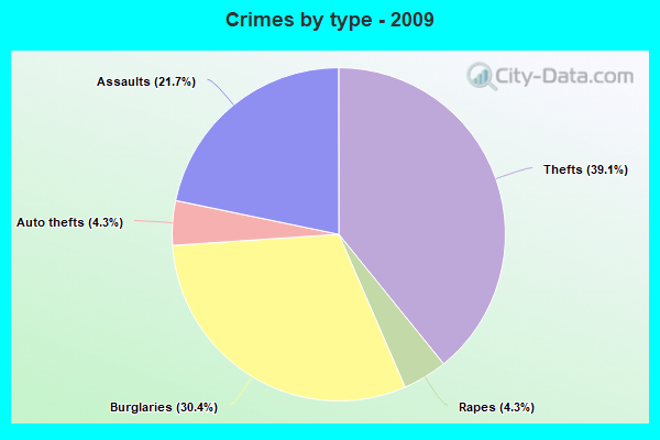 Crimes by type - 2009