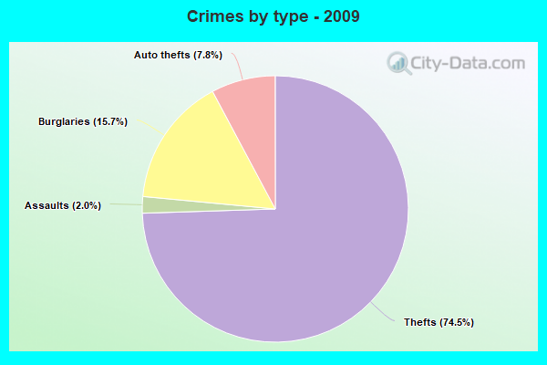 Crimes by type - 2009