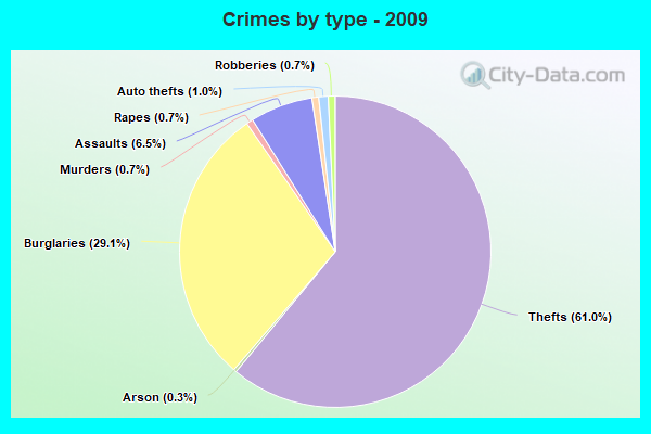 Crimes by type - 2009