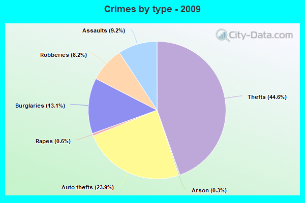 Crimes by type - 2009