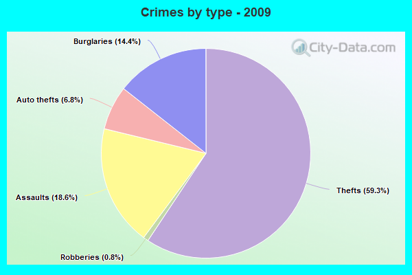 Crimes by type - 2009