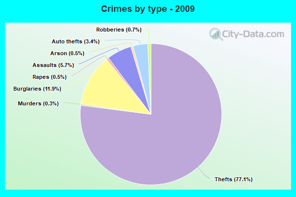 Crimes by type - 2009