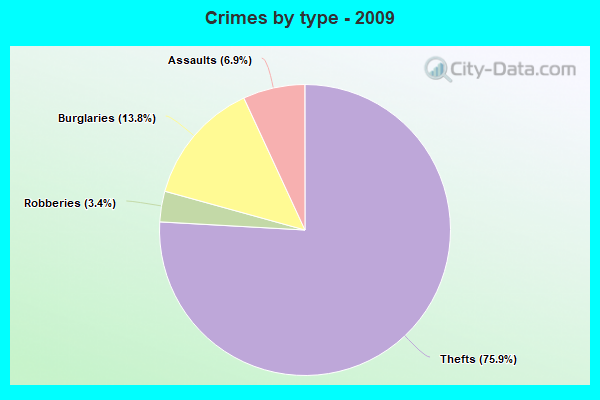 Crimes by type - 2009