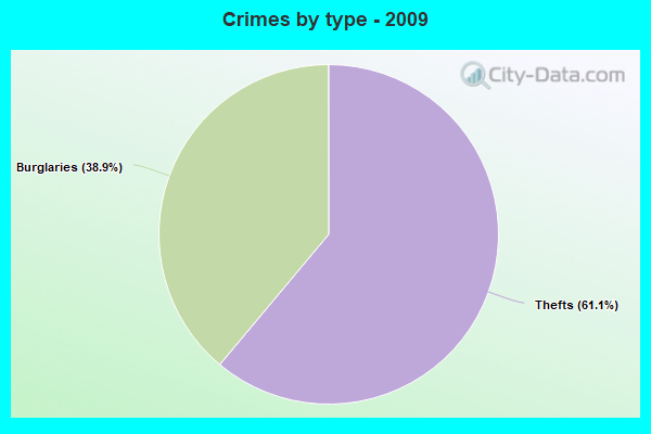 Crimes by type - 2009