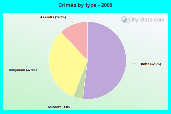 Crimes by type - 2009