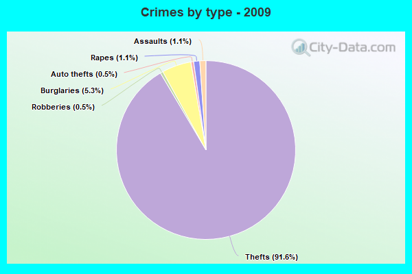 Crimes by type - 2009