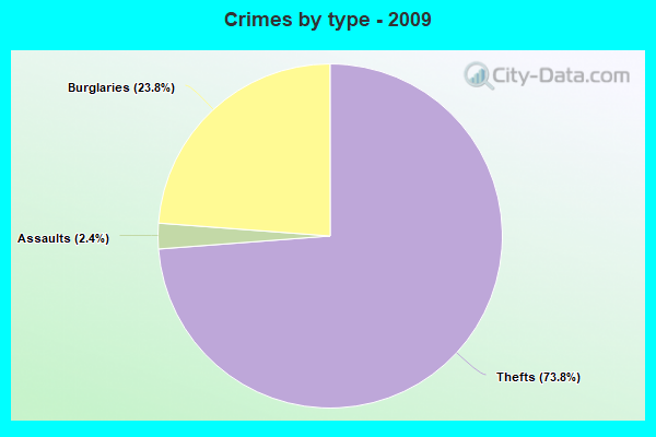 Crimes by type - 2009