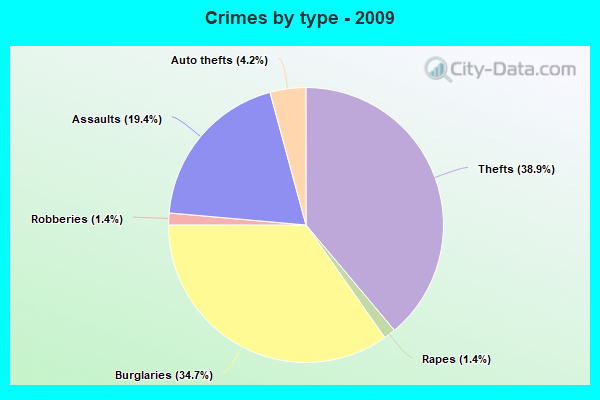 Crimes by type - 2009