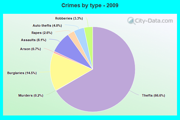 Crimes by type - 2009