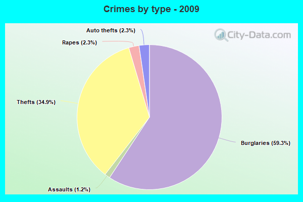 Crimes by type - 2009