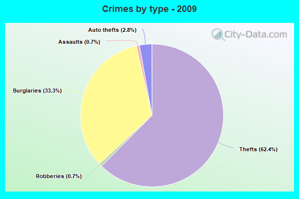 Crimes by type - 2009