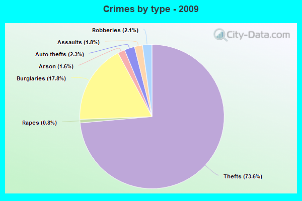 Crimes by type - 2009