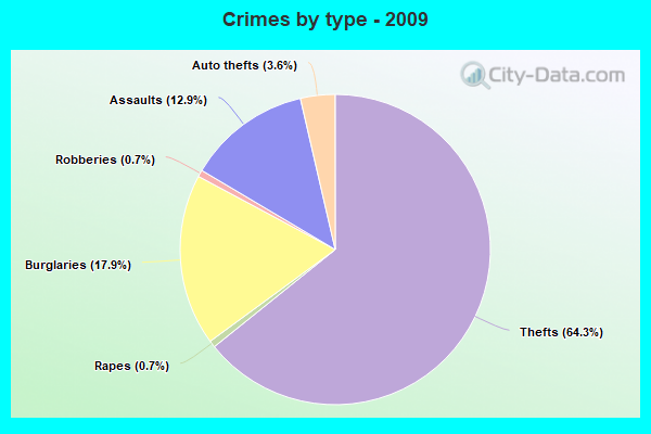 Crimes by type - 2009