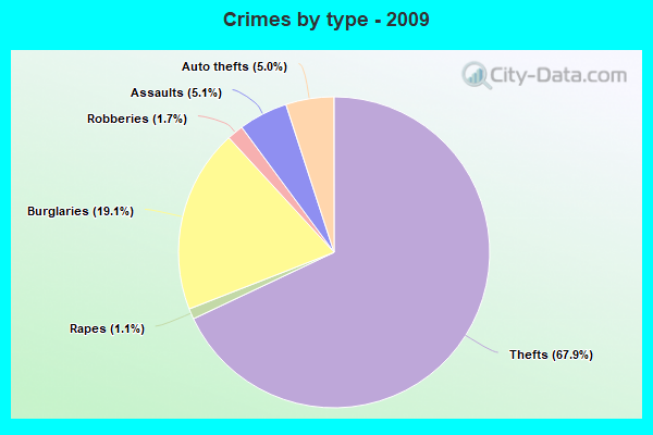 Crimes by type - 2009