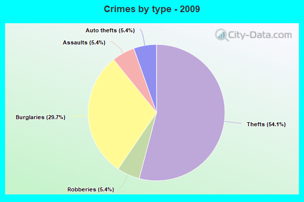 Crimes by type - 2009