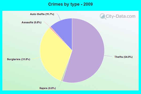 Crimes by type - 2009