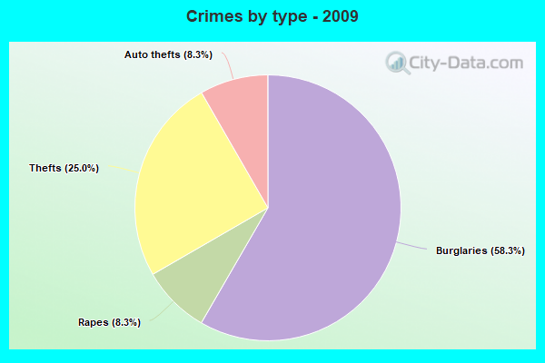 Crimes by type - 2009