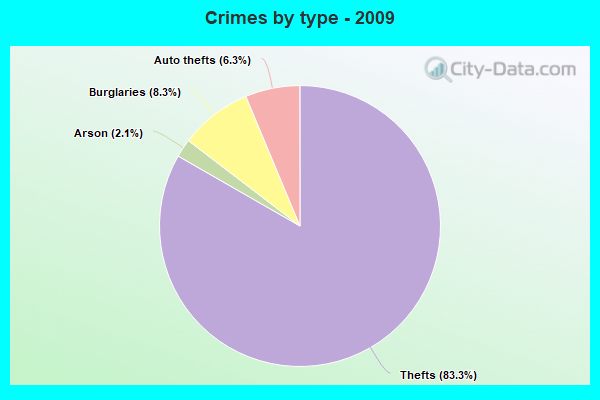 Crimes by type - 2009