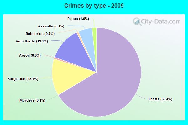 Crimes by type - 2009