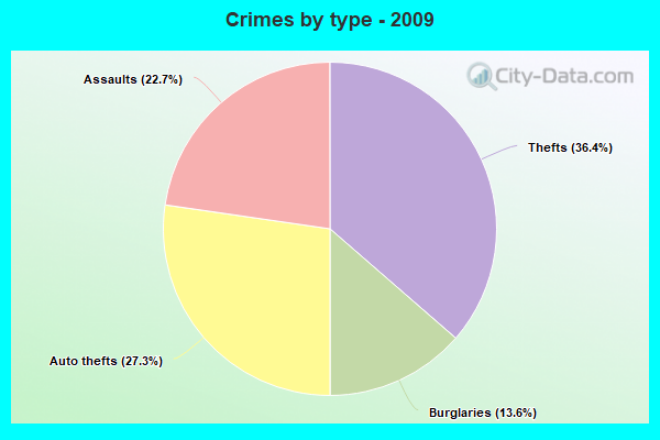 Crimes by type - 2009