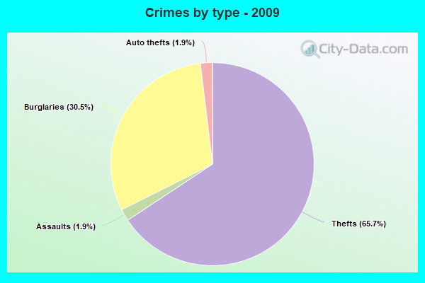 Crimes by type - 2009