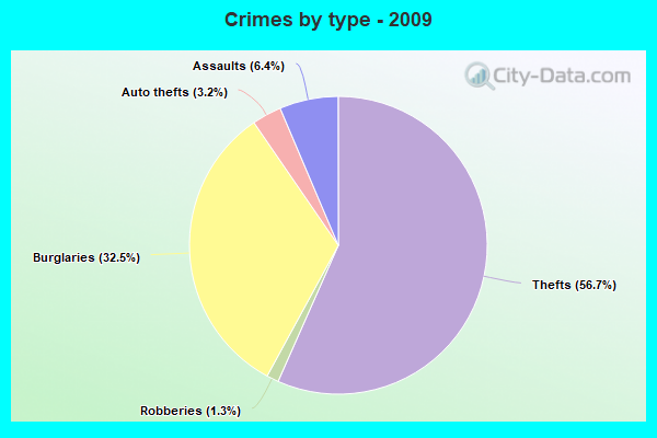 Crimes by type - 2009