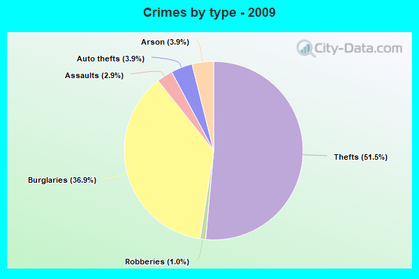 Crimes by type - 2009