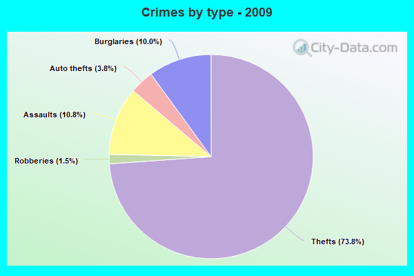 Crimes by type - 2009