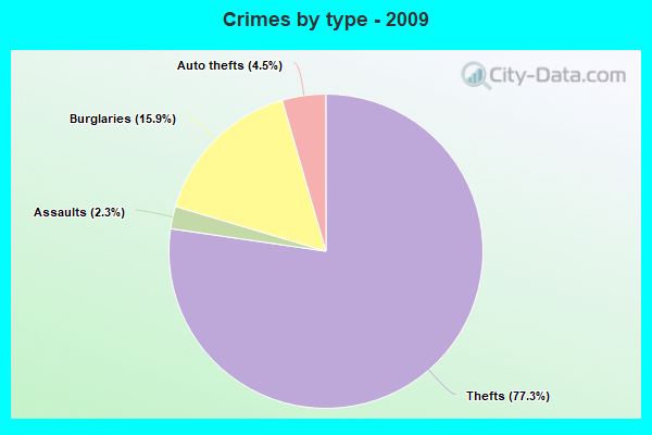 Crimes by type - 2009