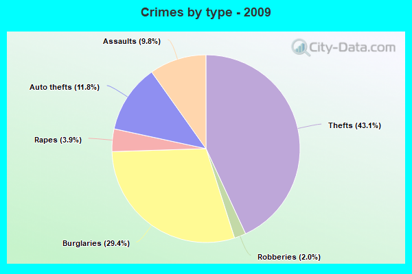 Crimes by type - 2009