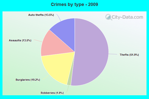 Crimes by type - 2009