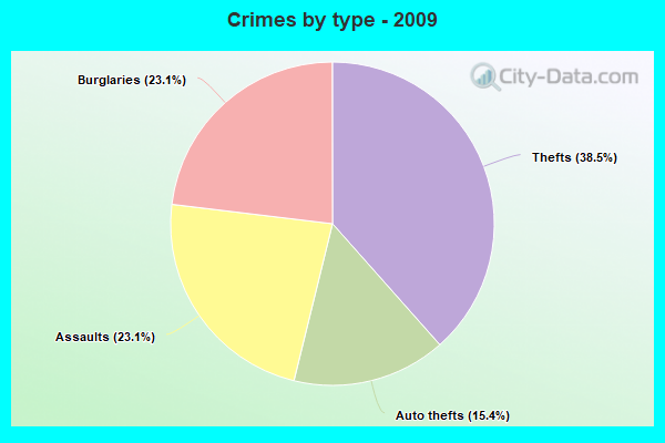 Crimes by type - 2009