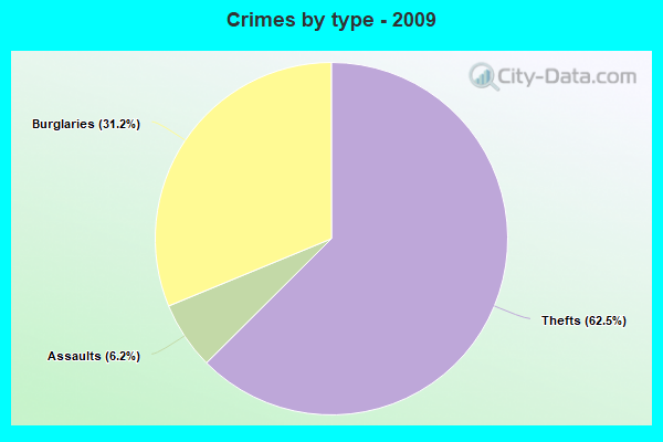 Crimes by type - 2009