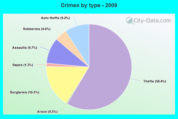 Crimes by type - 2009