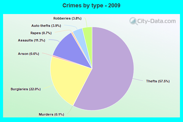 Crimes by type - 2009