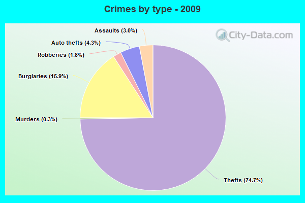 Crimes by type - 2009