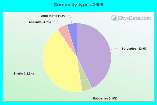 Crimes by type - 2009