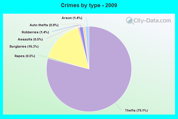 Crimes by type - 2009