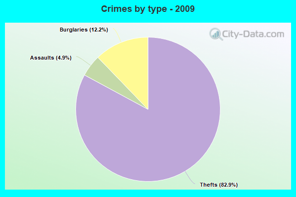 Crimes by type - 2009