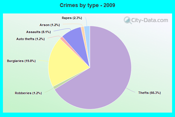 Crimes by type - 2009