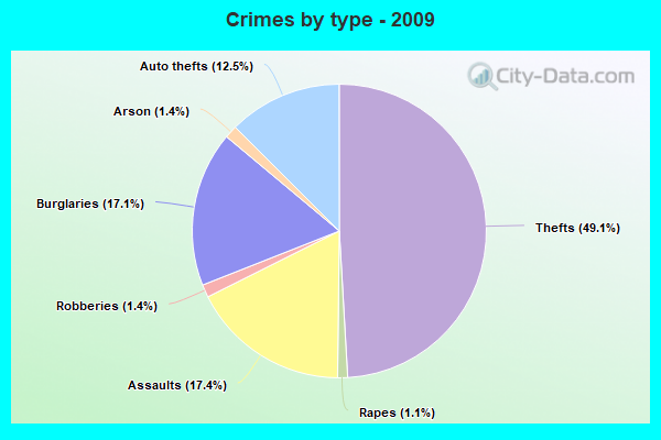 Crimes by type - 2009