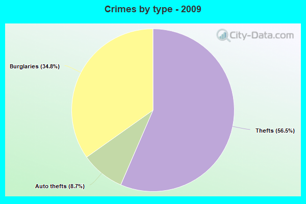 Crimes by type - 2009