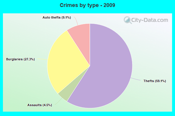 Crimes by type - 2009