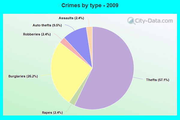 Crimes by type - 2009