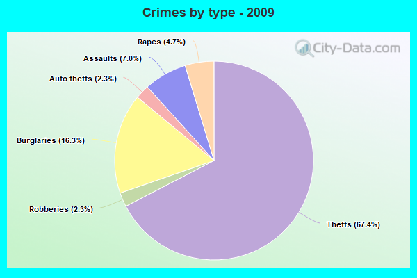 Crimes by type - 2009