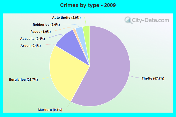 Crimes by type - 2009