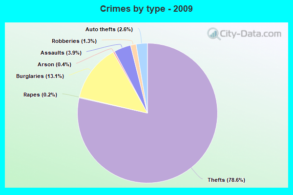 Crimes by type - 2009