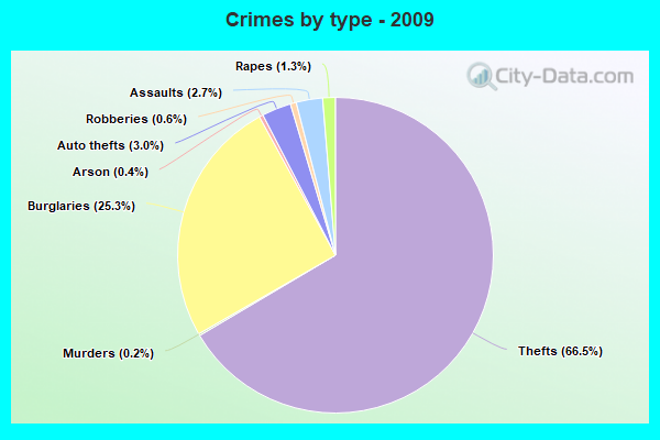 Crimes by type - 2009